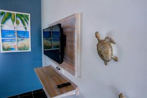 a turtle on the wall of a room with a tv at Aigue-marine in Sainte-Anne
