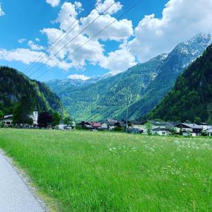 a field of green grass with mountains in the background at MaHome Apartments in Lofer