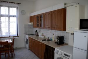 Kuchyň nebo kuchyňský kout v ubytování Apartmány Lenka
