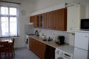 kuchnia z drewnianymi szafkami i zlewem w obiekcie Apartmány Lenka w Karlowych Warach