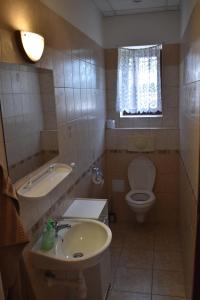 mała łazienka z umywalką i toaletą w obiekcie Apartmány Lenka w Karlowych Warach +5 zdjęć