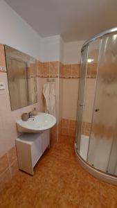a bathroom with a sink and a shower at Pension U Štěpánků in Trpišovice
