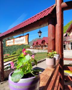 two pots of plants sitting on a wooden table at Guesthouse Madzarevic in Pluzine