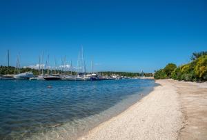 a beach with boats docked in a marina at Apartman Maksim in Banjole