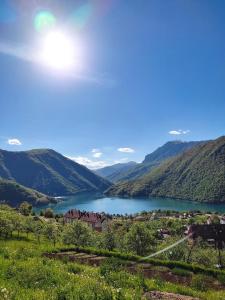 a view of a lake in a valley at Guesthouse Madzarevic in Pluzine