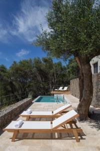a pool with wooden benches next to a tree at Greenstone Villas Corfu - Luxury Sea View Villas in Pyrgi