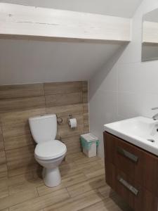 a bathroom with a toilet and a sink at PAKLADA 3 Pokój typu studio in Karsin