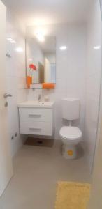 a bathroom with a toilet and a sink and a mirror at House Merlin in Baška Voda +12 photos
