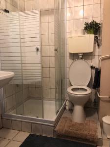 ein Bad mit einer Dusche, einem WC und einem Waschbecken in der Unterkunft Tulipán Apartman in Eger