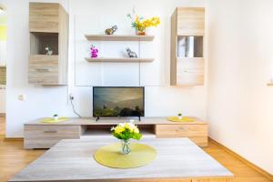 TV a/nebo společenská místnost v ubytování Apartments Villa Maja