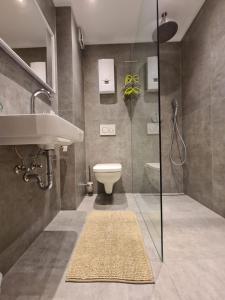 a bathroom with a sink and a toilet and a shower at Apartment Jakimovski in Wuppertal