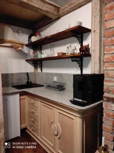 uma cozinha com um balcão e um micro-ondas em Srokowski Dwór 1 - Leśny Zakątek - Prywatna Sauna! em Srokowo