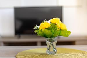 TV a/nebo společenská místnost v ubytování Apartments Villa Maja