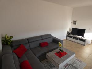 uma sala de estar com um sofá cinzento e almofadas vermelhas em Apartment & Olive oil Valuma em Koper
