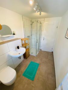 a bathroom with a toilet a sink and a shower at Auszeit-Eifel „Eifelhorst“ in Willwerscheid +18 photos