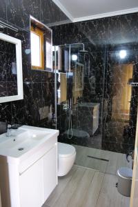 La salle de bains est pourvue d'un lavabo, de toilettes et d'une douche. dans l'établissement Vila Balani, à Ksamil