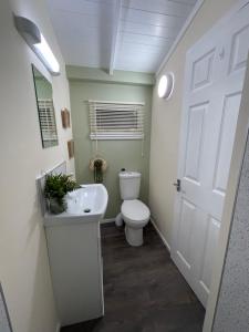 a bathroom with a white toilet and a sink at Kevara Shepherds Hut in Finstown