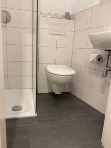 uma casa de banho com um WC, um lavatório e um chuveiro em Business-Apartment Braun em Abstatt