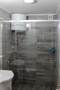 La salle de bains est pourvue d'une douche, de toilettes et d'un lavabo. dans l'établissement Apartments Marta, à Žabljak