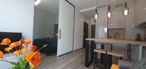 Kuchnia lub aneks kuchenny w obiekcie Apartament Green Diamond Rakowicka
