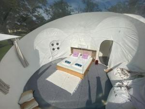 eine Draufsicht auf ein Boot in einem Zelt in der Unterkunft Bubble Tent Hotel in Weyregg