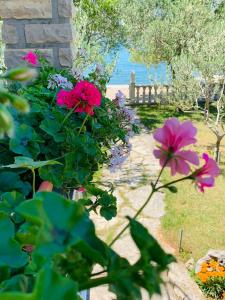 un gruppo di fiori in un giardino vicino all'acqua di Villa Marijana-Direktno na moru a Seline
