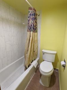 a bathroom with a toilet and a shower curtain at Great Plains Budget Inn in Lincoln