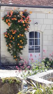 Zahrada ubytování Le Gîte des Marguerites