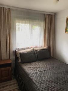 1 dormitorio con 1 cama frente a una ventana en Підскельний en Yaremcha