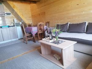 Cuina o zona de cuina de Vikendica Ines