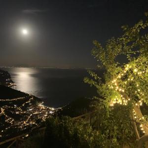 Táj Show holiday homes közelében