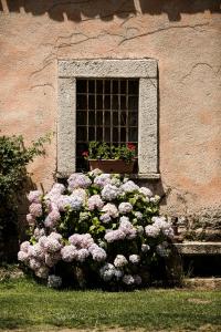 Gallery image of Agriturismo Casteddu in Padru +17 photos