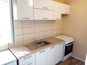 Kuhinja oz. manjša kuhinja v nastanitvi Apartments Božito