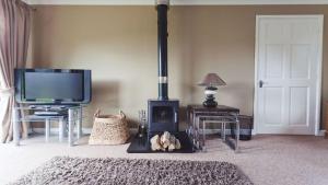 a living room with a fireplace and a television at 3 Bed Cottage with Hot Tub & Near New Quay Wales in Llandysul