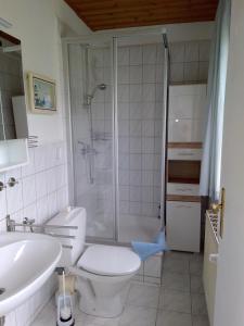 een badkamer met een douche, een toilet en een wastafel bij Ferienwohnung Kraniche am Krakower See in Kuchelmiß