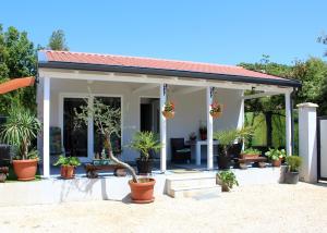 ein Haus mit vielen Pflanzen in Töpfen in der Unterkunft Oliven Garden in Rovinj