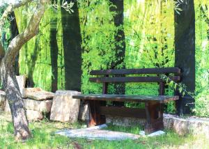 Zahrada ubytování Oliven Garden