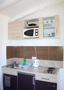 eine Küchentheke mit einer Spüle und einer Mikrowelle in der Unterkunft Oliven Garden in Rovinj