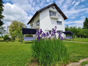 Afbeelding uit fotogalerij van Boutique Apartments Nikola Tesla in Rakovica