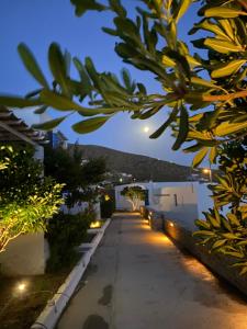 a street at night with buildings and trees at Spanos Apartments in Agios Petros