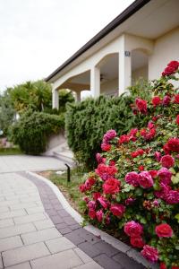 Fotografia z galérie ubytovania Villa Sunny Garden with private heated pool v destinácii Kaštela