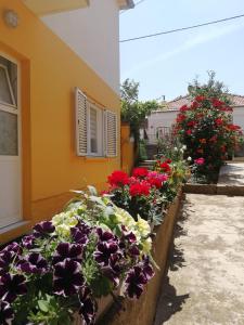 a bunch of flowers sitting outside of a building at Apartment Maggi in Preko