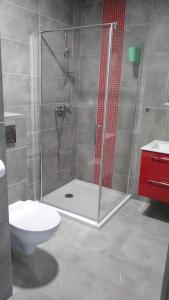 a bathroom with a shower with a toilet and a sink at Na Fali in Dziwnów