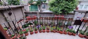 a balcony with a bunch of potted plants on it at Guest House Kukera in Pavel Banya