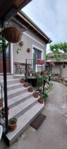 a set of stairs with potted plants in front of a house at Guest House Kukera in Pavel Banya