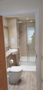 a bathroom with a shower and a toilet and a sink at Waterfront apartment in Dundee