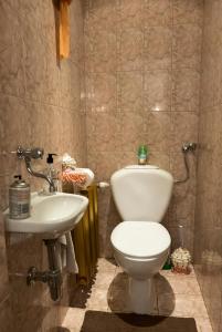 Apartament Parkowy في كراكوف: حمام مع مرحاض ومغسلة