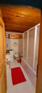 a bathroom with a toilet and a sink at Chalet La Stua in Cavalese +36 photos