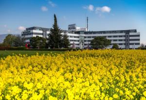 ein Feld gelber Blumen vor einem Gebäude in der Unterkunft Everness Hotel & Resort in Chavannes-de-Bogis