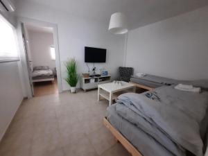 een slaapkamer met een bed en een tv. bij Akhva Accommodation Unit-אחווה יחידת אירוח in Arad